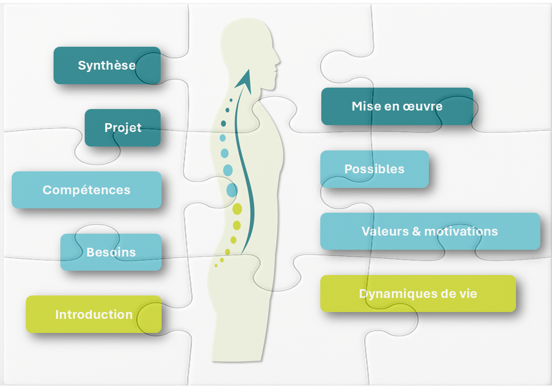 L'alignement professionnel avec Check-Up Pro